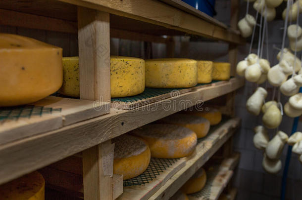 乳酪店的奶酪，架子上的奶酪已经成熟了