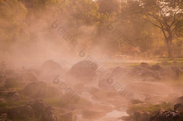 亚洲查伊温泉热点高功率晶体管