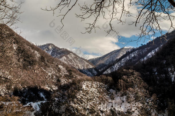 雪冬大高加索山脉的美丽景观。 阳光明媚的天气，树木云田的阿塞拜疆自然