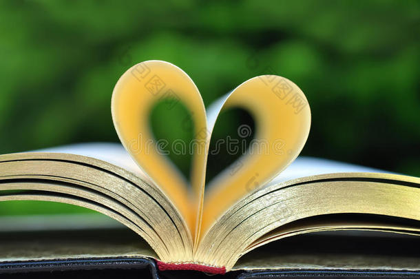 书上有金色的书页，书页形成了心
