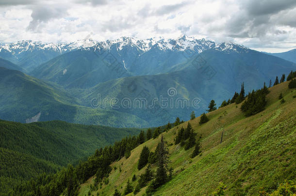 阿尔卑斯山海拔高度动物美丽的蓝色