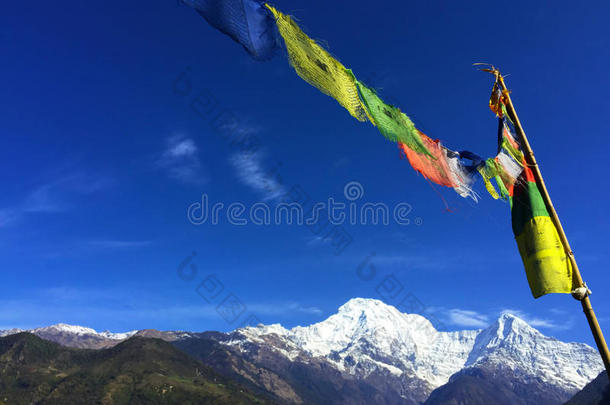 佛教祈祷旗帜在喜马拉雅山，清澈的蓝天和白色的山脉