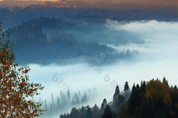 多彩的山景，美国旅行，美丽的世界