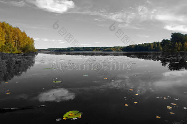 <strong>黑白</strong>照片与彩色森林，码头和睡莲。 <strong>秋天</strong>的大美丽平静的湖