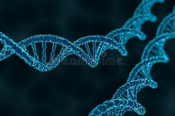 双<strong>螺旋dna</strong>分子的3d绘制