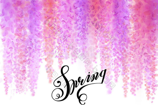 关于春季销售的广告，在离焦的背景下，美丽的盛开的紫藤。 矢量插图