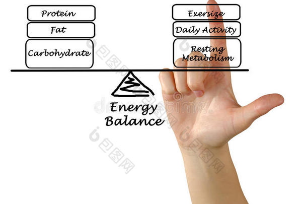 能量收支平衡