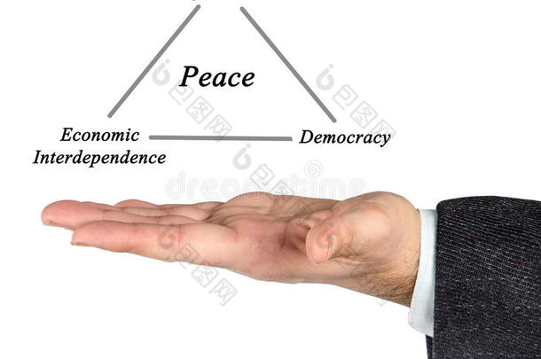 概念民主图表经济的专家