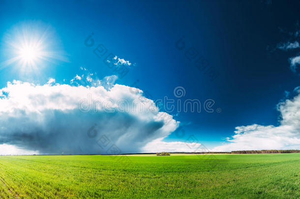 田野或草地景观，在风景优美的春天，蓝天下，白云和灿烂的阳光