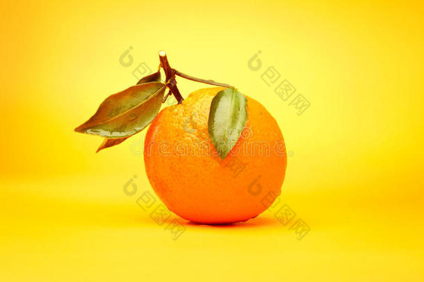 橘黄相间