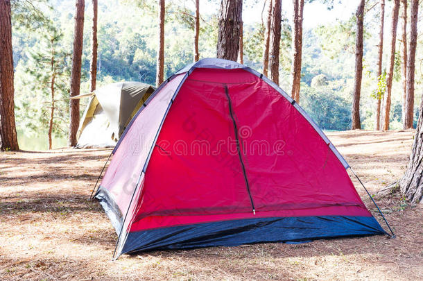 露营地点的圆顶帐篷，有松树和湖泊
