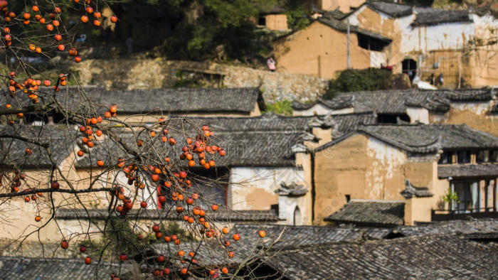 中国浙江山地别墅浙江山区的古民居图片-包图网企业站