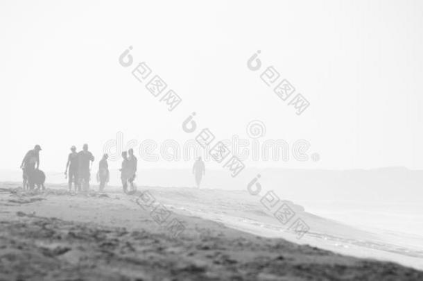 海滩<strong>场景黑白</strong>相间，薄雾和人，谷物在