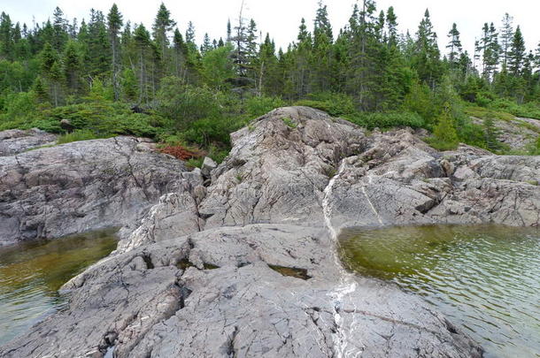 美丽的小溪和森林在一个夏天靠近加拿大安大略省瓦瓦