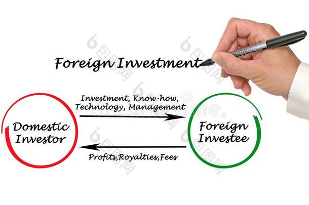 国外投资;外资;