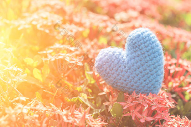 蓝色的心在绿色的穗花树上为爱和情人节`
