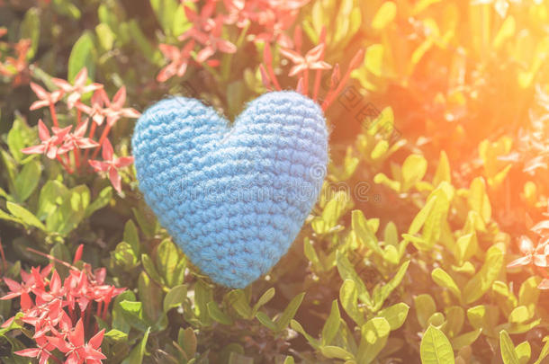 蓝色的心在绿色的穗花树上为爱和情人节`