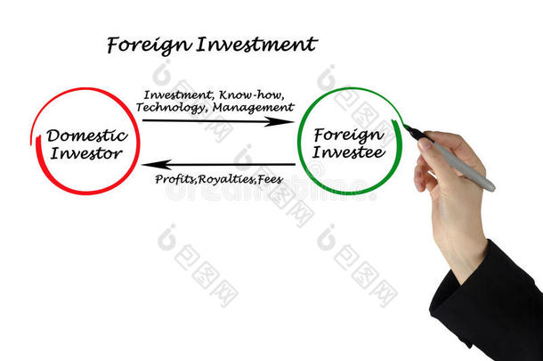 国外投资;外资;