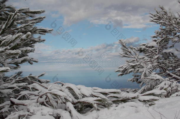 雪景