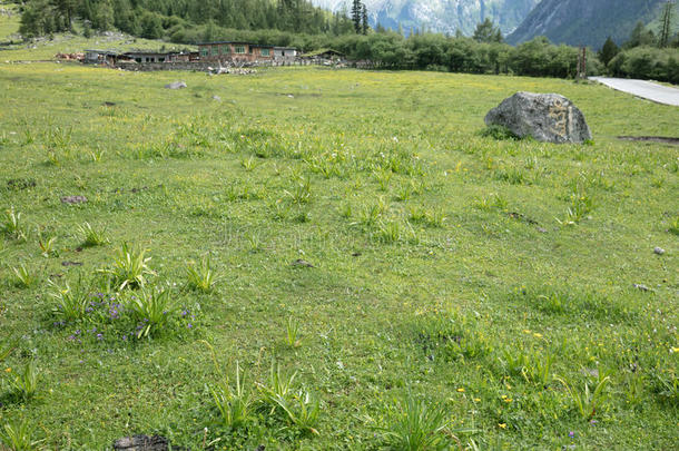 中国四川四姑娘山修建沟壑风光