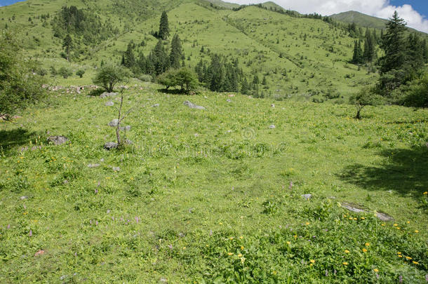 中国四川四姑娘山修建沟壑风光