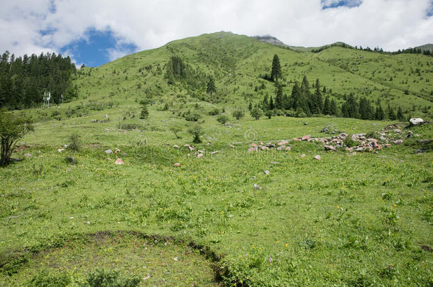 中国四川四姑娘山修建沟壑风光