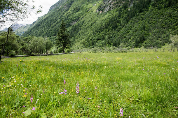 中国四川四姑娘山修建沟壑风光