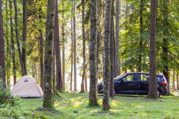 露营帐篷和一辆<strong>汽车</strong>在绿色森林在<strong>春天</strong>阳光明媚的早晨W
