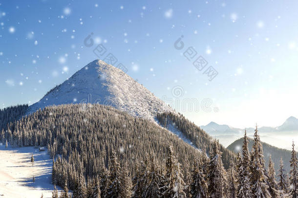 美丽的冬季全景与新鲜的降雪。 景观智慧