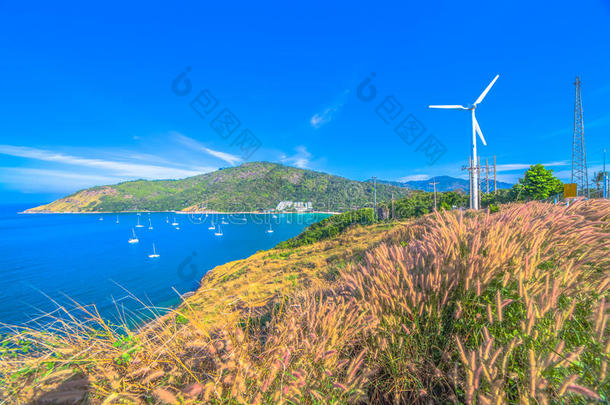 草花在风筒中流动