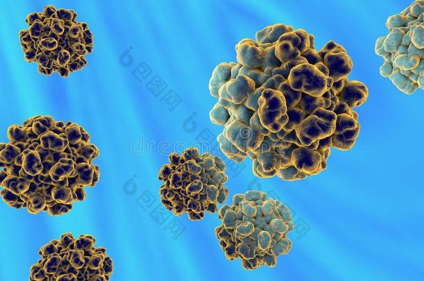 抗病毒的生物学细胞特写镜头丰富多彩的