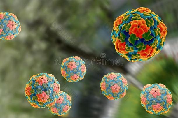 抗病毒的背景生物学血细胞