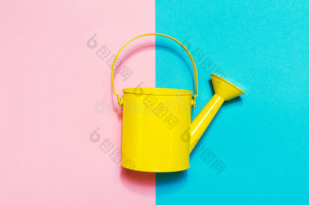 彩色背景上的彩色浇水罐。 平躺。 极简主义的概念。 春天或夏天的概念。