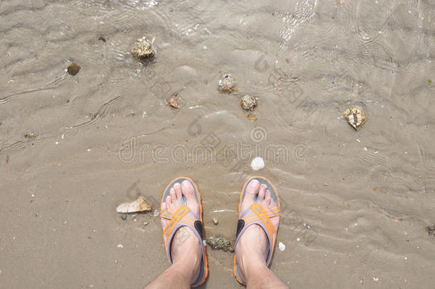 背景海滩脚假日人类