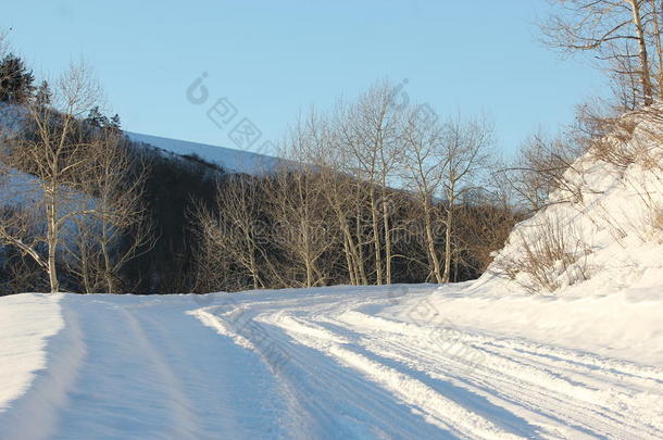 树皮bwinter公司霜风景景观龟