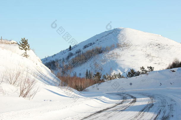 树皮bwinter公司霜风景景观龟