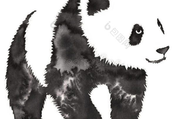 黑白单色绘画用水和墨水画熊猫插图