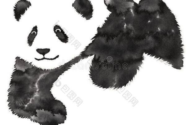 黑白单色绘画用水和墨水画熊猫插图