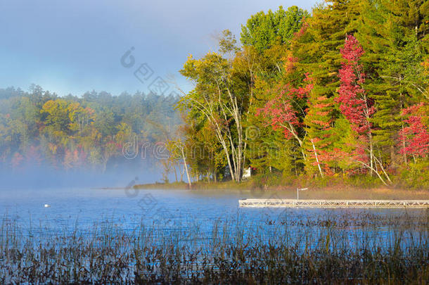 秋天蓝色明亮的芦苇平静的