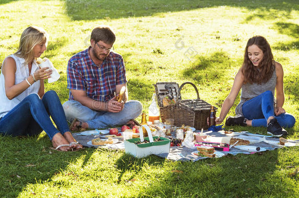 家庭野餐户外聚会放松概念