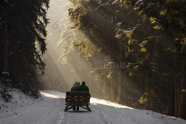 冬天美丽的雪橇穿过森林，美丽的背景充满了光线。