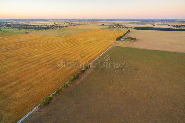 太阳下收获的农田和牧场的鸟瞰图
