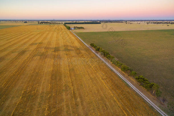 在Au日落时，收获的田野和绿色牧场的鸟瞰图