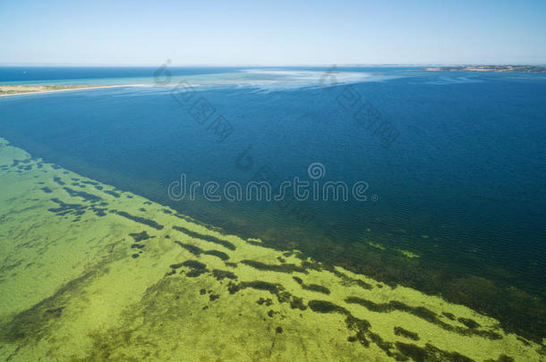 浅滩海湾鸟瞰图。浅绿色海水，袋鼠岛，南澳大利亚。