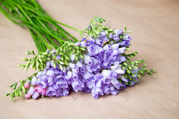 背沟美女花艺花薰衣草