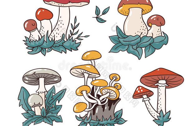 <strong>手绘</strong>一套<strong>卡通</strong>蘑菇和毒蕈。 在白色背景上分离的矢量插图。