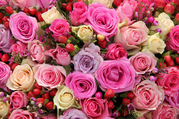 新娘玫瑰排列在各种色调的粉红色