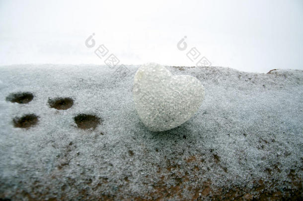 抽象的玻璃心在夜间下雪。 情人节卡片。 原谅我，想念你爱你的话红色或灰色。 s