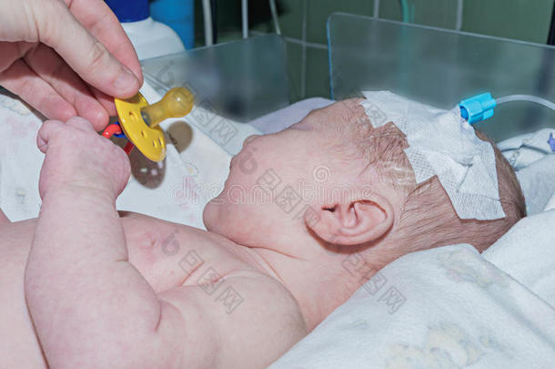 医生给奶嘴新生儿静脉导管在新生儿重症监护病房