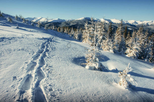 奇妙的冬季景观和被<strong>践踏</strong>的小径，通向那里